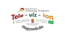 tel_viz_ion_logo
